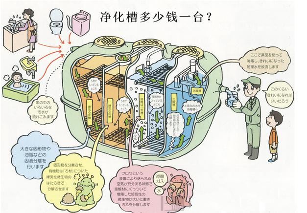 凈化槽多少錢一臺